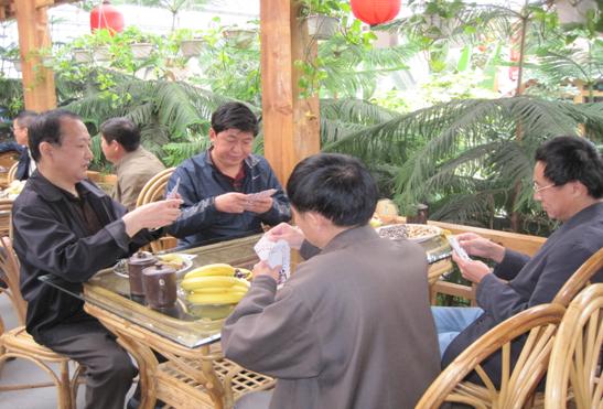 香港六宝曲资料大全