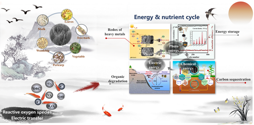 香港六宝曲资料大全