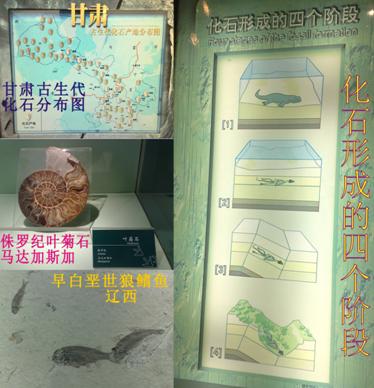 香港六宝曲资料大全