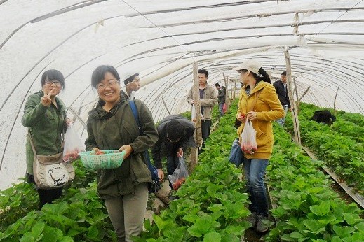 香港六宝曲资料大全
