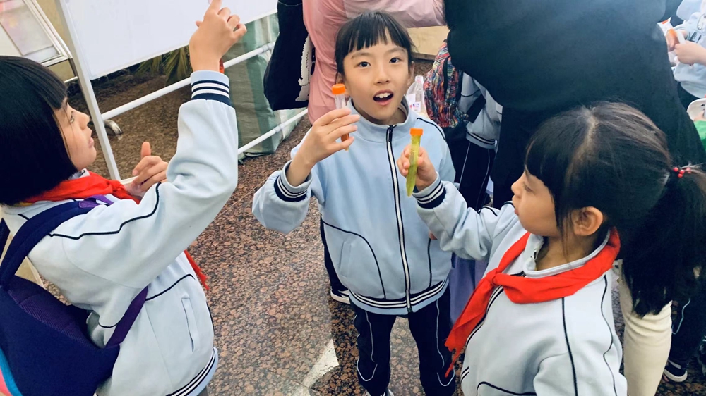 香港六宝曲资料大全